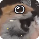 fox_happy