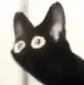 hu