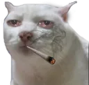 ganjatron