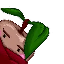 UNAKiwiPeek