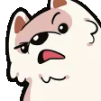 dog_Confused