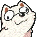 dog_Derp