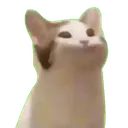 bopcat