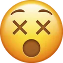 y_nic