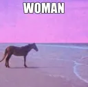 WomanMoment WomanMoment