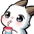 BunnySip_FESE