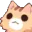 cat_excite