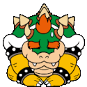 BowserSorry