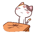 1727headbangingcat