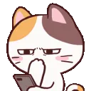 meonghm