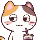 meongsip