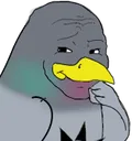 nycpigeon