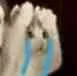 yabe