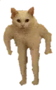 catstand