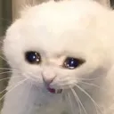 WAAAAAAAAAAAAA WAAAAAAAAAAAAA