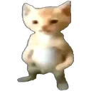 cat_michael
