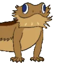 LizardVibe
