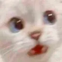 ueeecat Discord Emoji