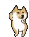 Doge Discord Emoji