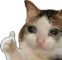 CatSadThumbsUp