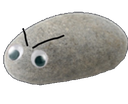 angryrock Discord emoji