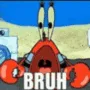 bruh bruh
