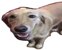 S16E_Buttereddog Discord Emoji