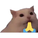 catpray