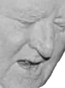 PainedGarner