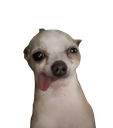 WDG_dogdead Discord emoji