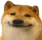 XDog_retrasados Discord Emoji