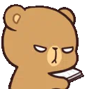 Bear_angry_MJ