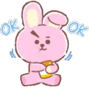 zz_cookie_ok