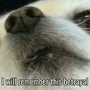 I_will_remember_this