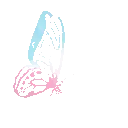 ButterFlyPink