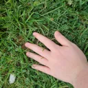 touchdagrass touchdagrass