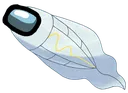 shibishirasus