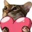 :CE_CattoHeart: