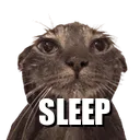 wc_sleep