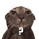 wc_questionmark