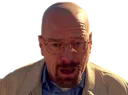 jesse