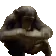 Respawn