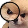 GCbr_Detective_Doggo