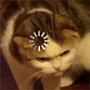 cat_loading Discord Emoji