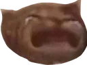 kittywail