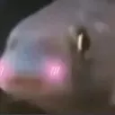 FishLu