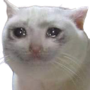 cry Discord emoji