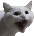 AxuCat