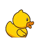 shockedduck
