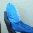 foolishSpin